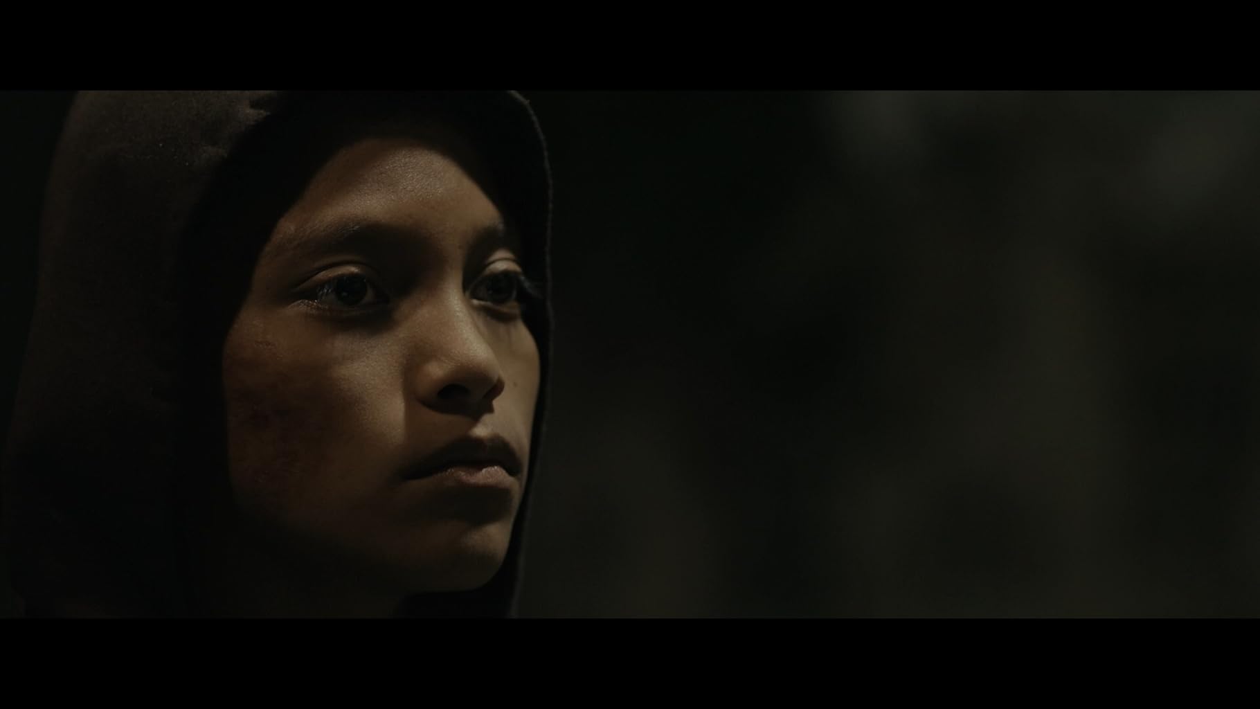 Фото - Тигры не боятся: 1820x1024 / 32 Кб