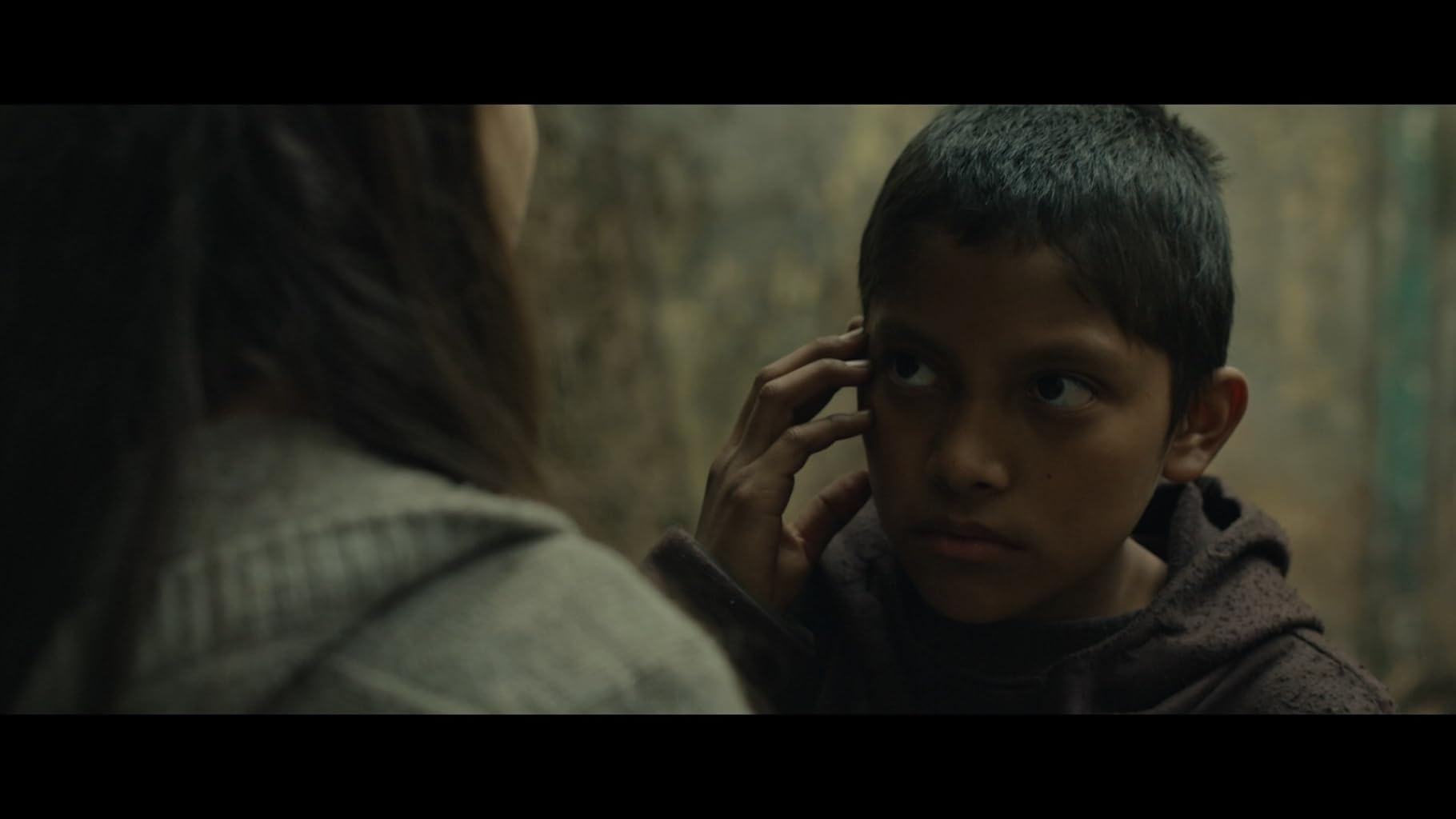 Фото - Тигры не боятся: 1820x1024 / 56 Кб