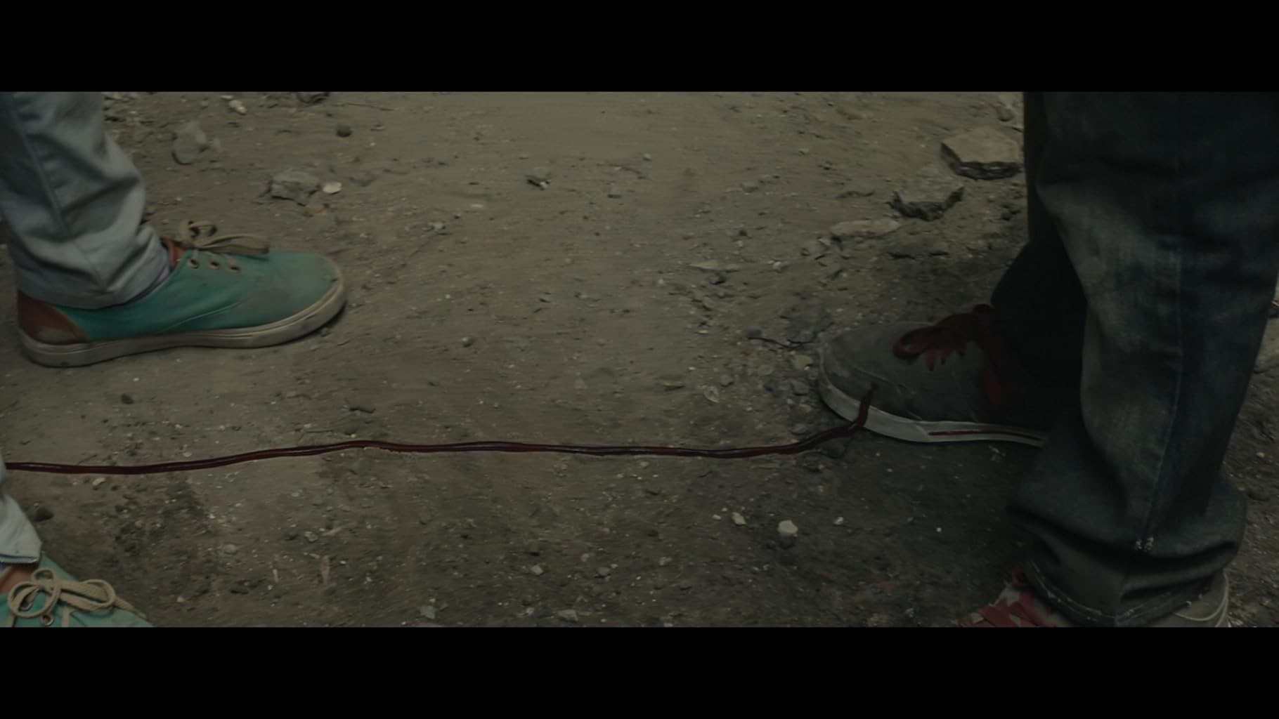 Фото - Тигры не боятся: 1820x1024 / 87 Кб