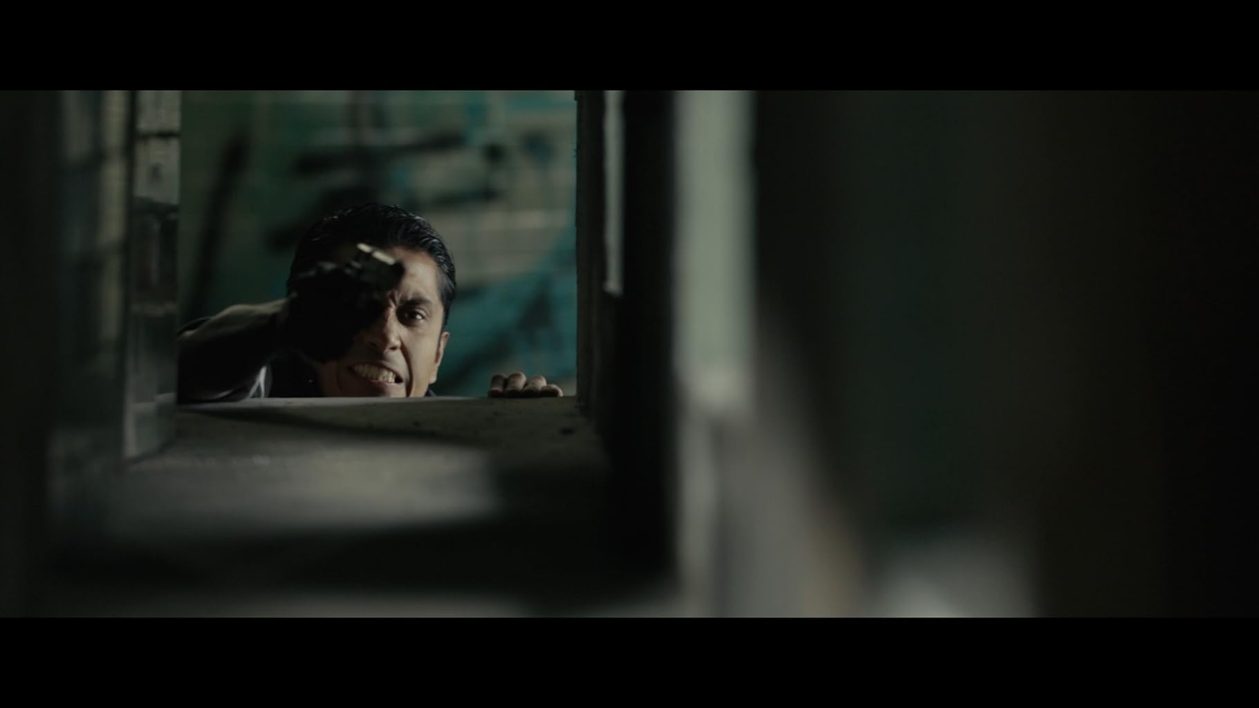 Фото - Тигры не боятся: 1820x1024 / 44 Кб