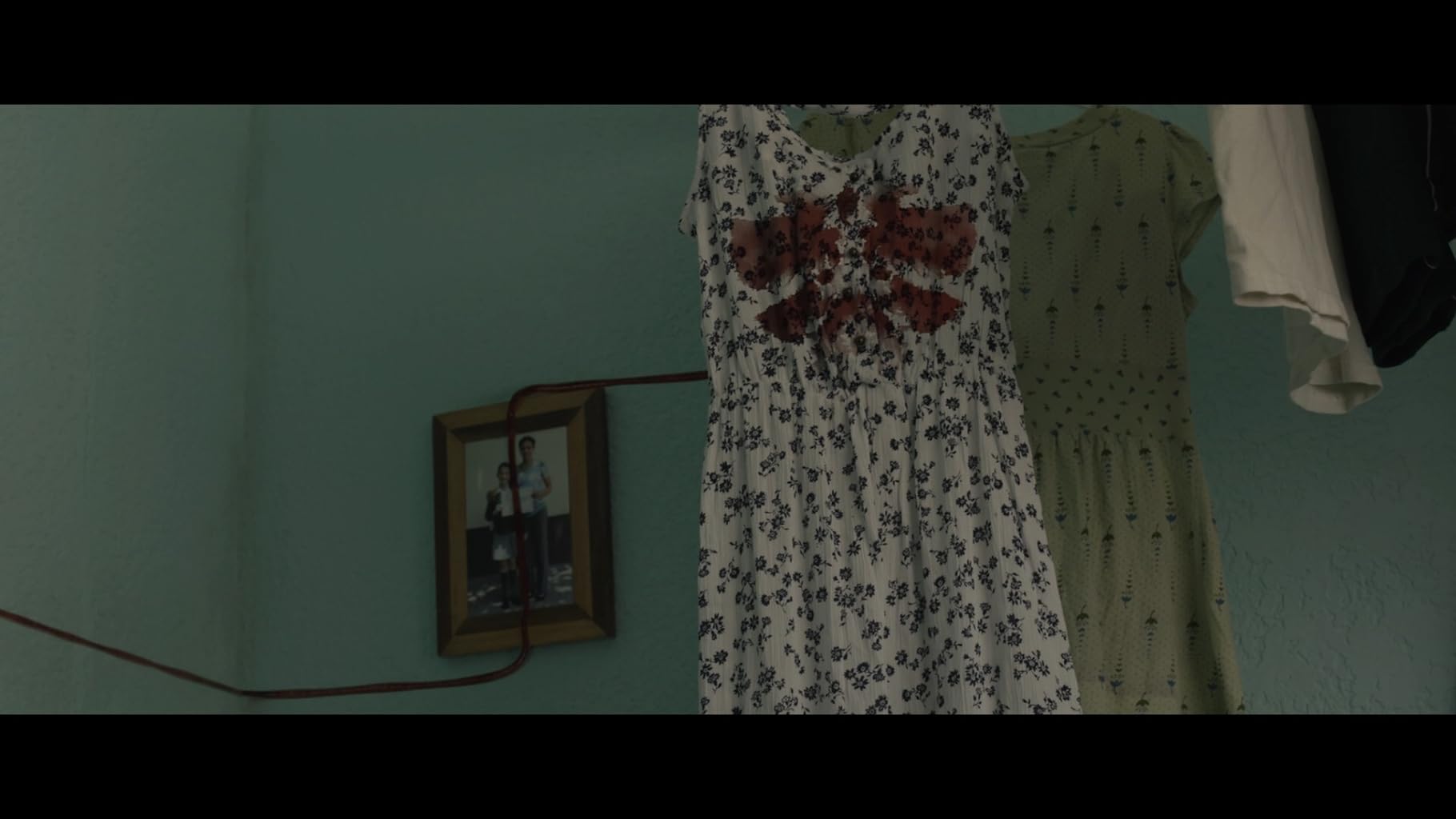 Фото - Тигры не боятся: 1820x1024 / 86 Кб