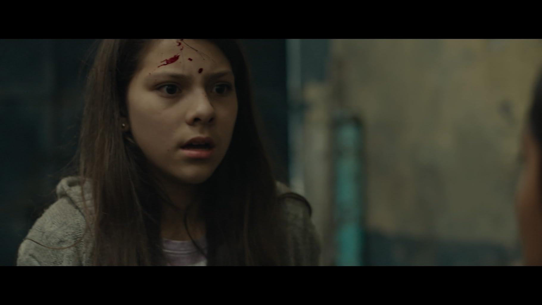 Фото - Тигры не боятся: 1820x1024 / 47 Кб