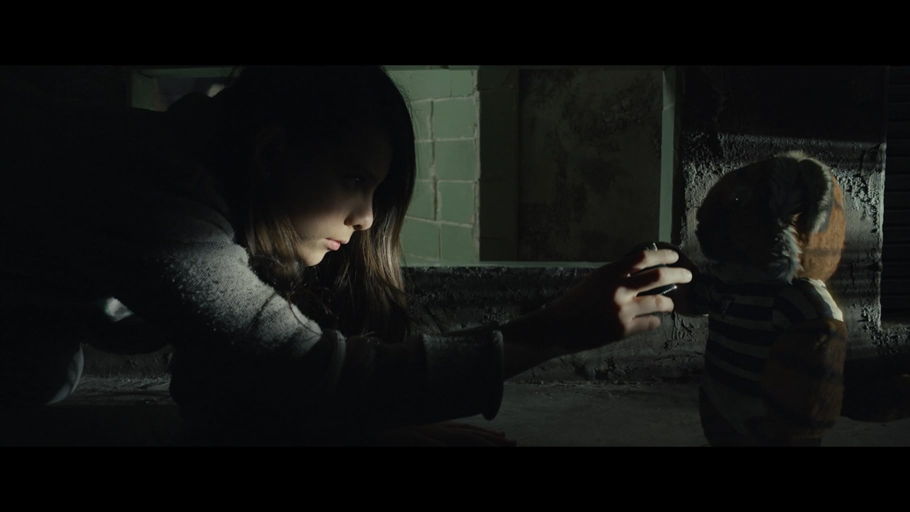 Фото - Тигры не боятся: 1820x1024 / 65 Кб