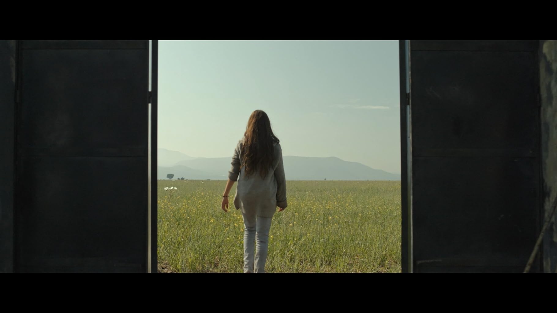 Фото - Тигры не боятся: 1820x1024 / 78 Кб