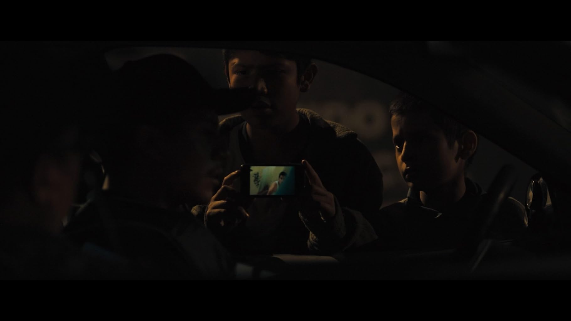 Фото - Тигры не боятся: 1820x1024 / 34 Кб