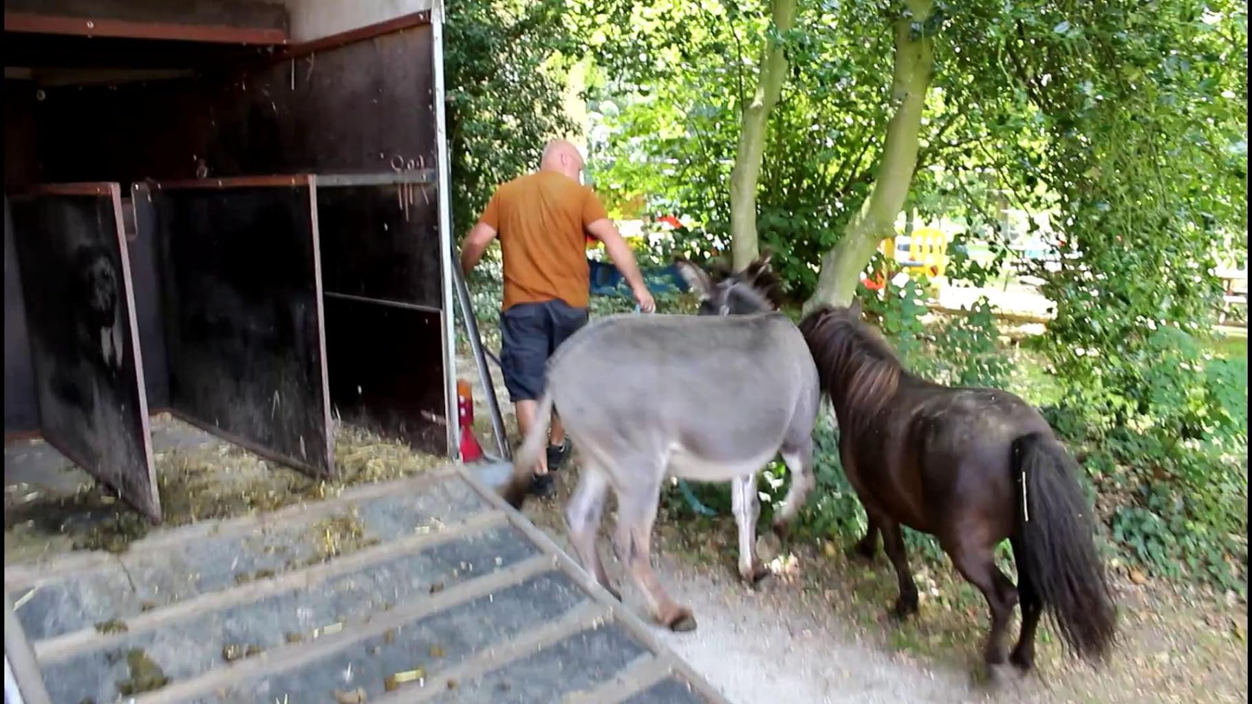 Фото - : 1820x1024 / 227 Кб