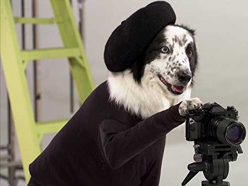 Фото - : 500x375 / 31 Кб