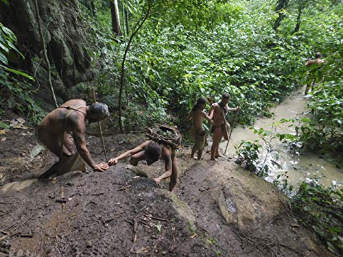 Фото - : 500x375 / 63 Кб