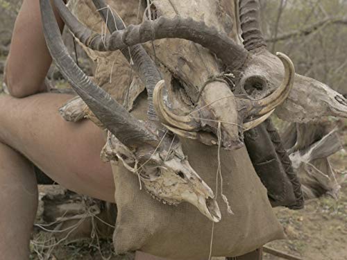 Фото - : 500x375 / 31 Кб