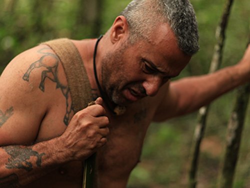 Фото - : 500x375 / 30 Кб