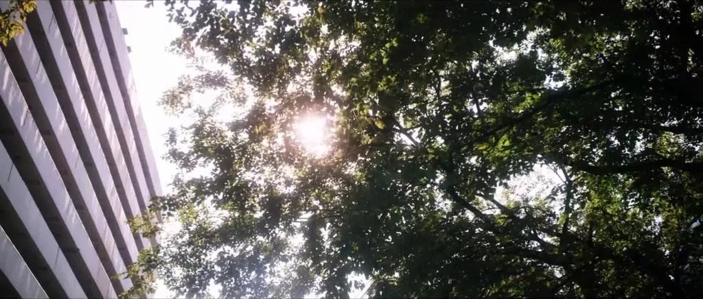 Фото - : 1024x436 / 208 Кб