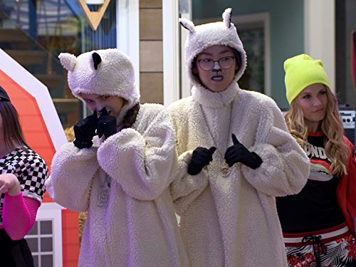 Фото - : 500x375 / 36 Кб