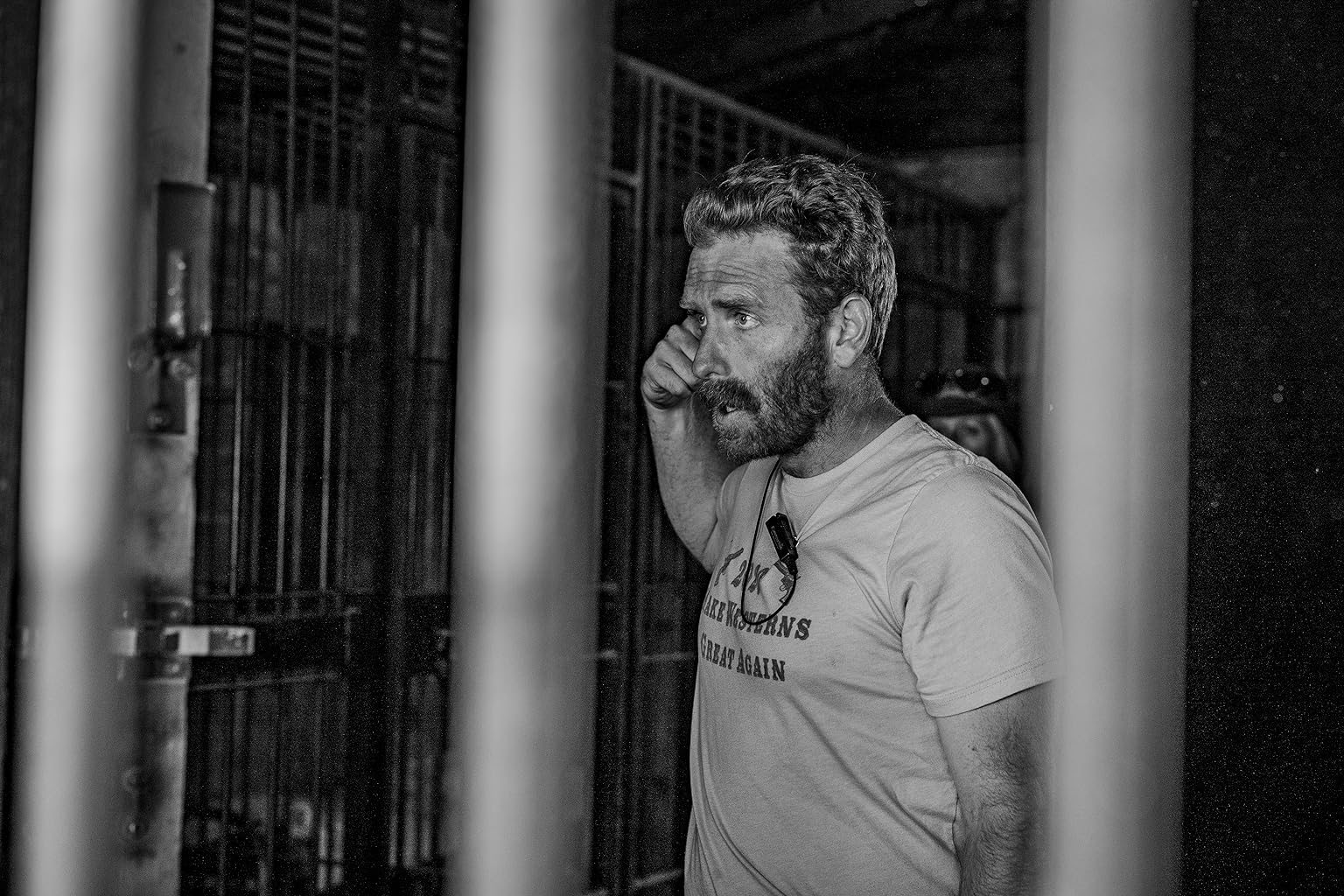 Фото - : 1536x1024 / 248 Кб