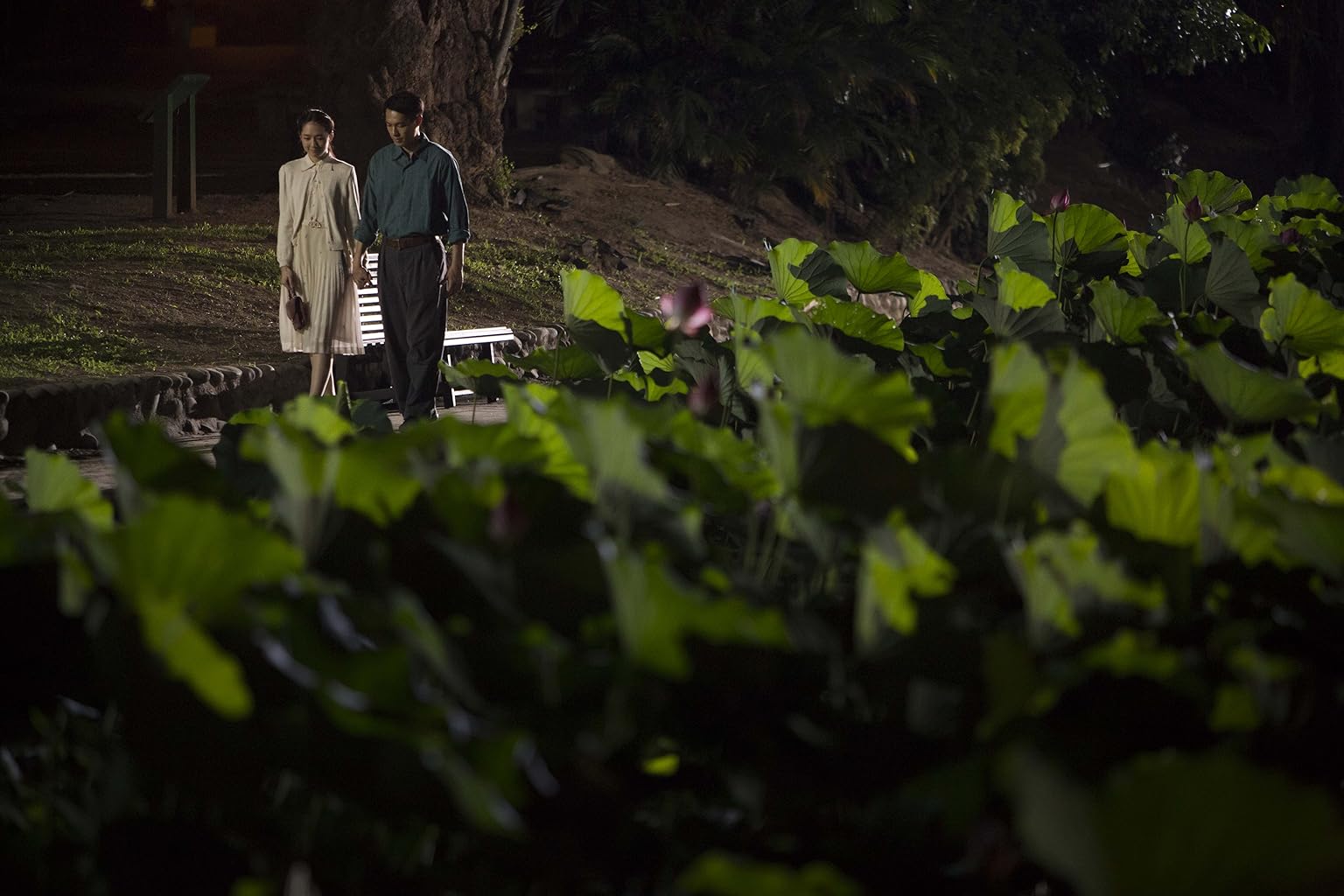 Фото - : 1536x1024 / 127 Кб