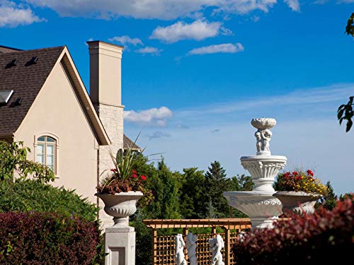 Фото - : 500x375 / 39 Кб