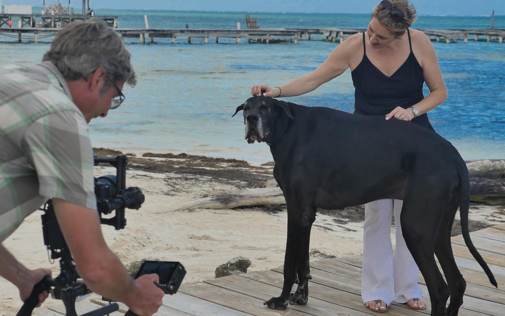 Фото - : 1638x1024 / 149 Кб