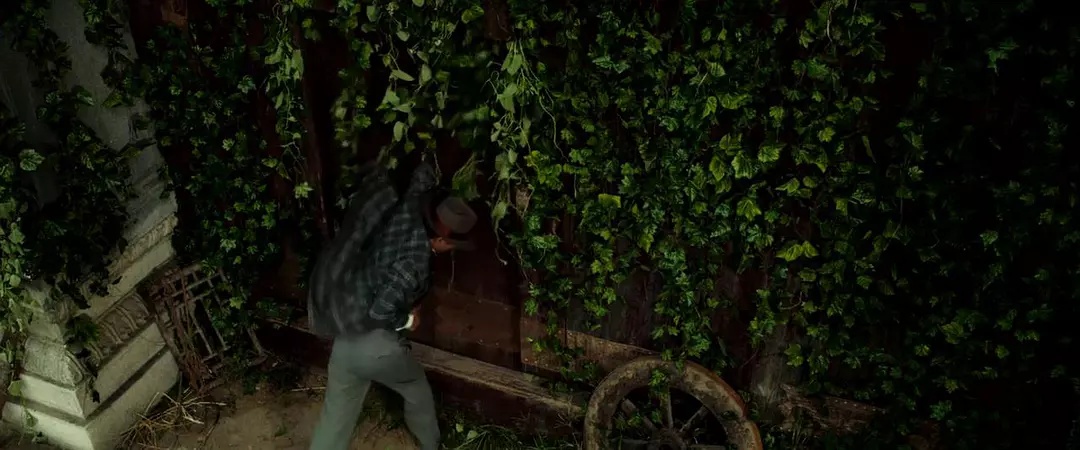 Фото - : 1080x450 / 167 Кб