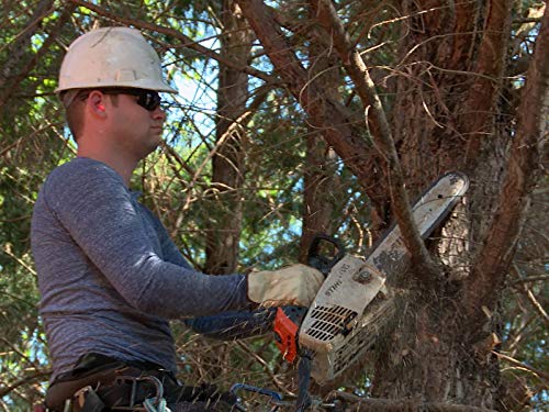 Фото - : 500x375 / 51 Кб