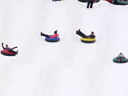 Фото - : 500x375 / 22 Кб