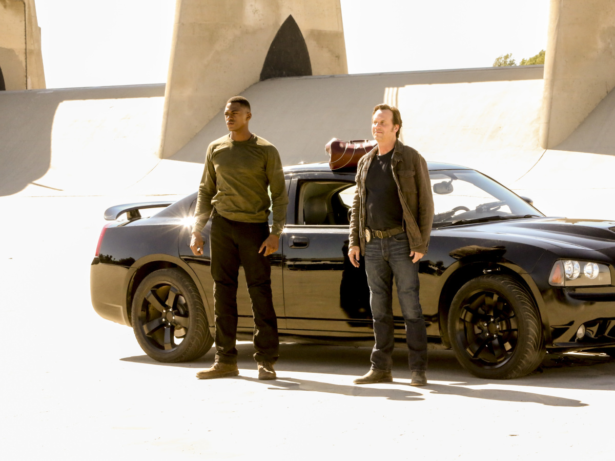 Фото - Тренировочный день: 1200x899 / 284 Кб