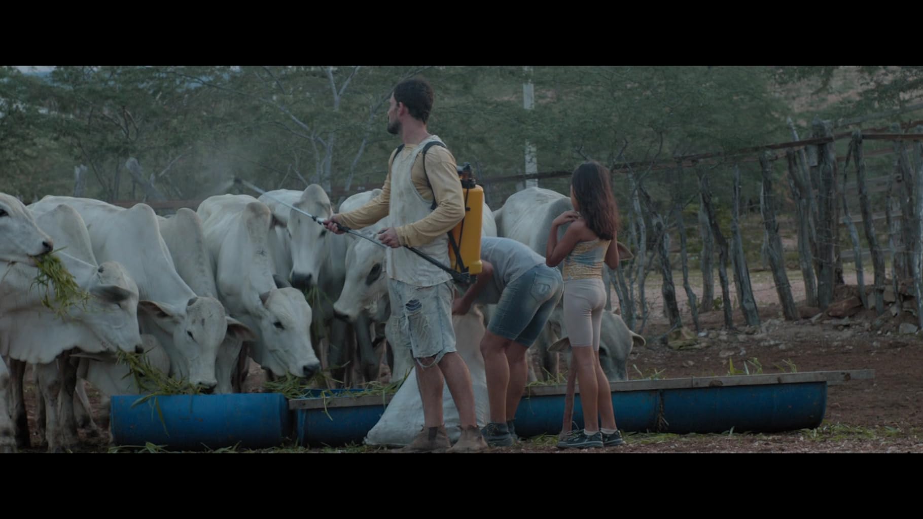 Фото - : 1820x1024 / 122 Кб