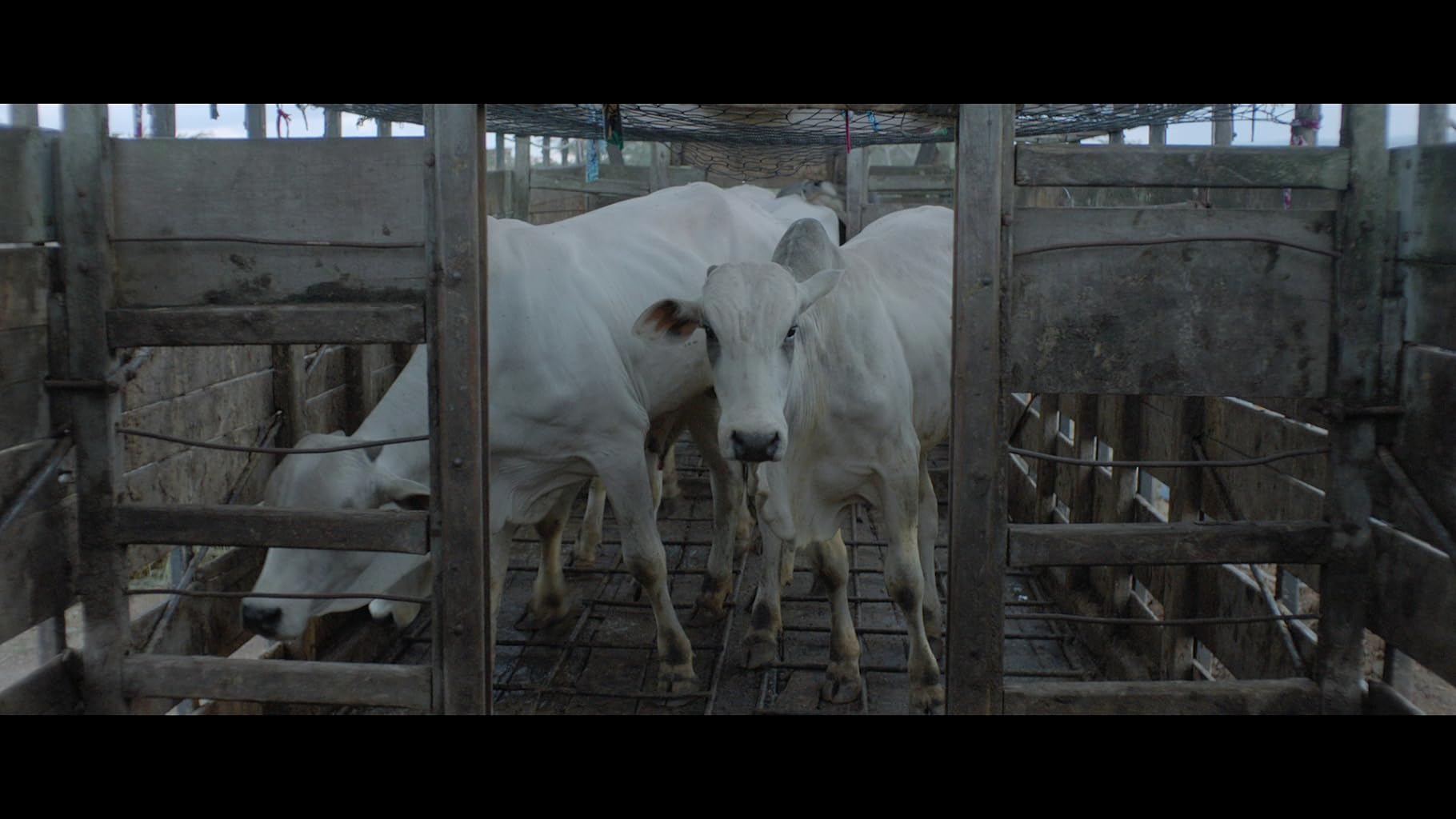 Фото - : 1820x1024 / 121 Кб