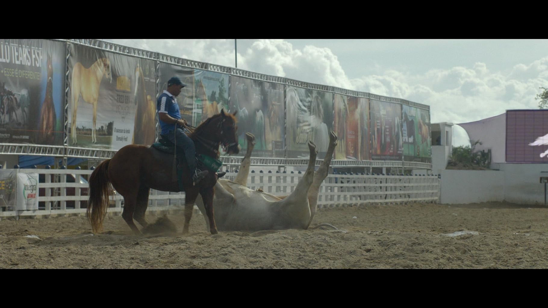 Фото - : 1820x1024 / 134 Кб