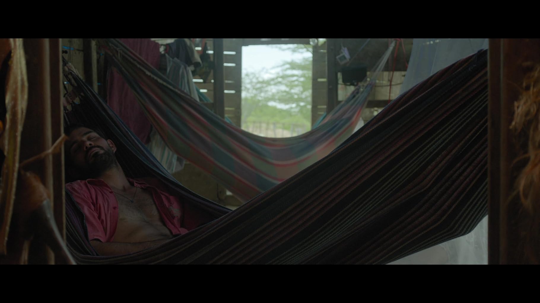 Фото - : 1820x1024 / 91 Кб