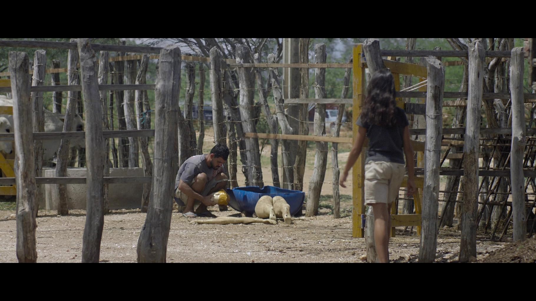 Фото - : 1820x1024 / 181 Кб