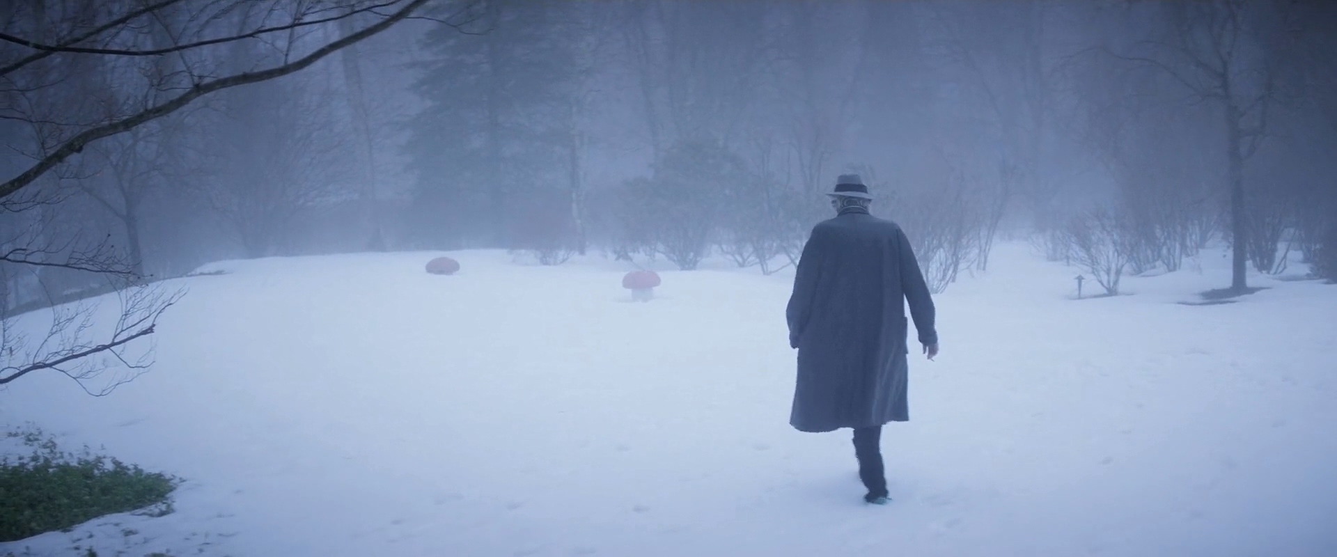 Фото - : 1920x800 / 198 Кб