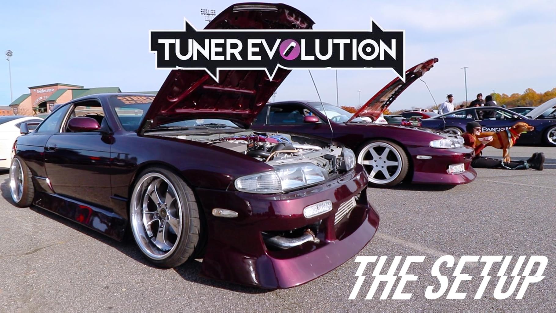 Фото - : 1820x1024 / 226 Кб