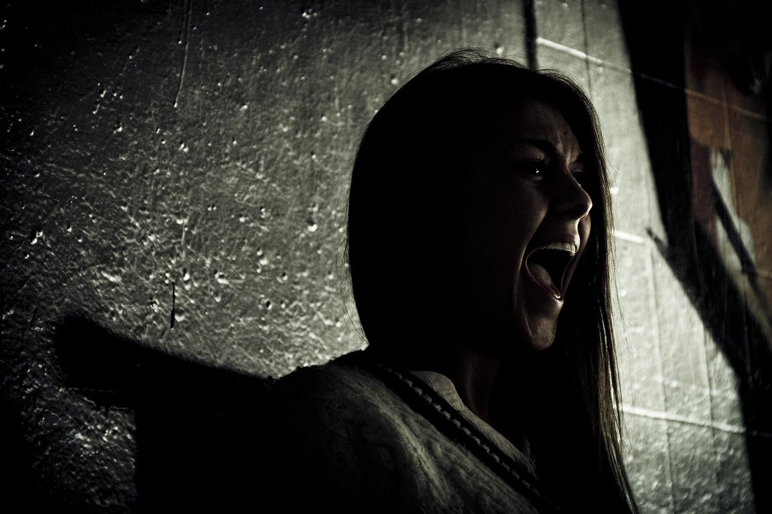 Фото - : 1536x1024 / 171 Кб