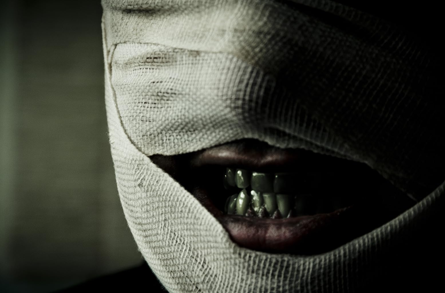 Фото - : 1555x1024 / 106 Кб