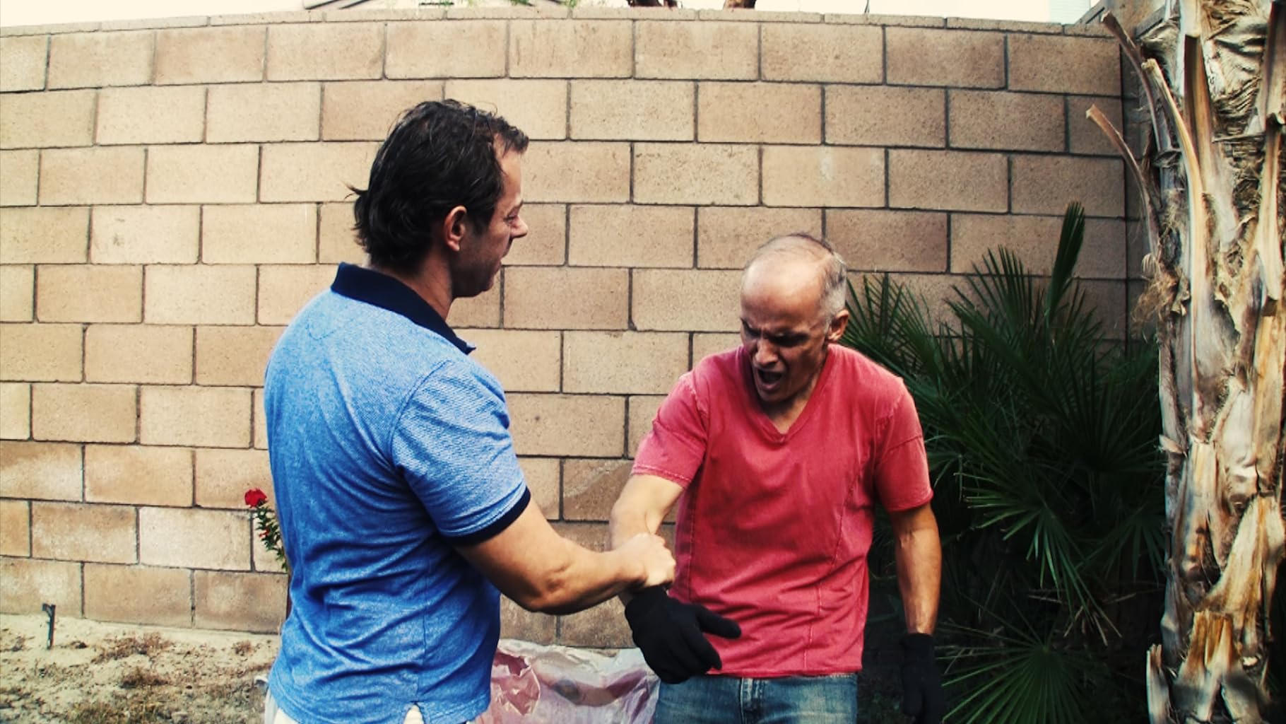 Фото - : 1820x1024 / 213 Кб