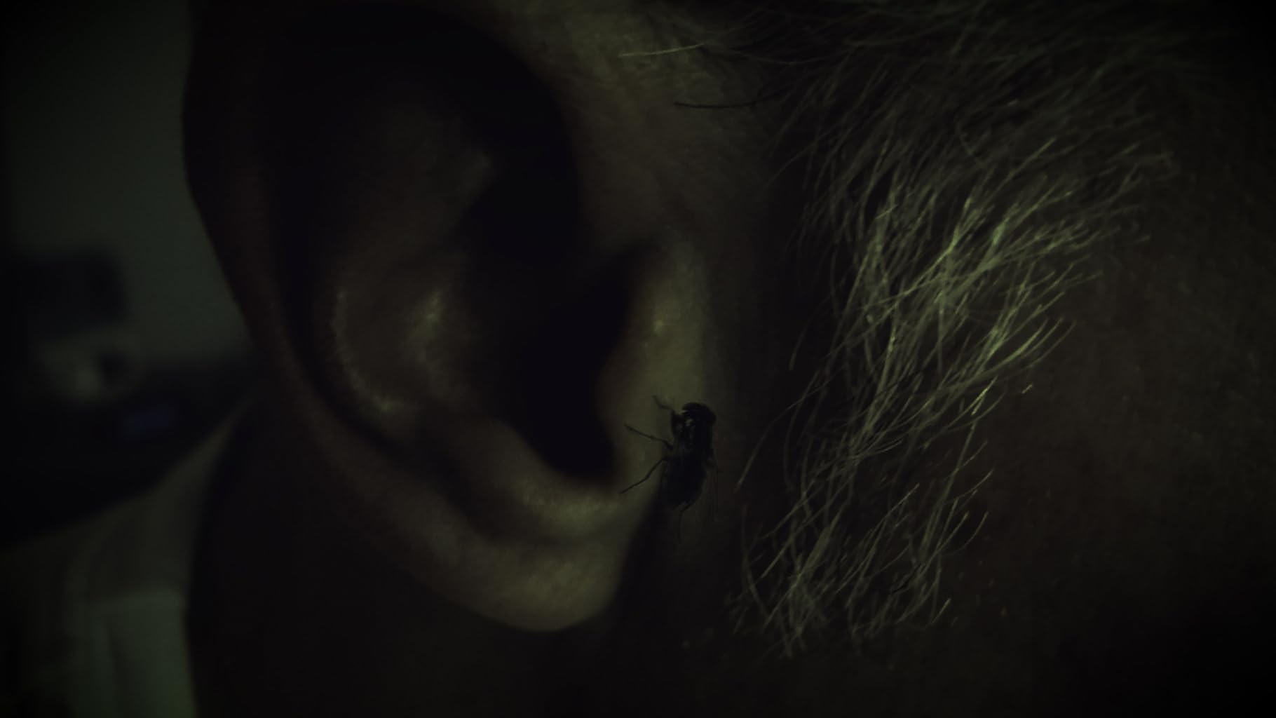 Фото - : 1820x1024 / 50 Кб