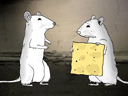 Фото - : 500x375 / 32 Кб