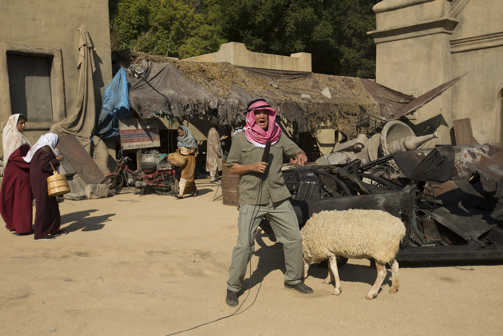 Фото - : 1000x667 / 185 Кб