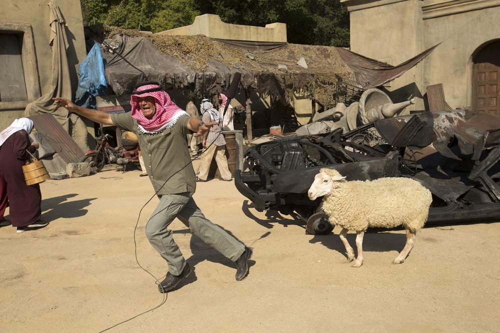 Фото - : 1000x667 / 194 Кб