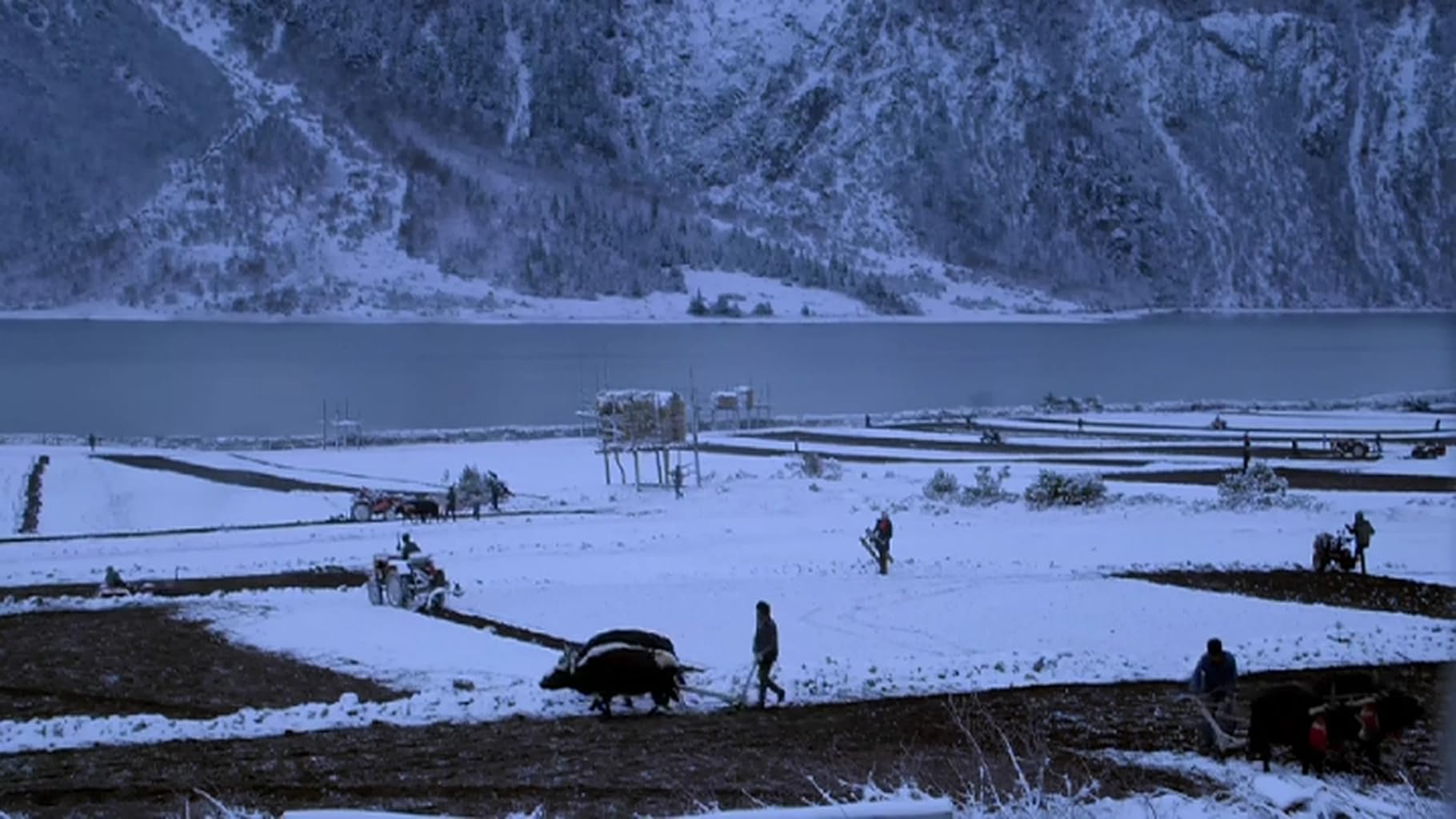 Фото - : 1820x1024 / 155 Кб