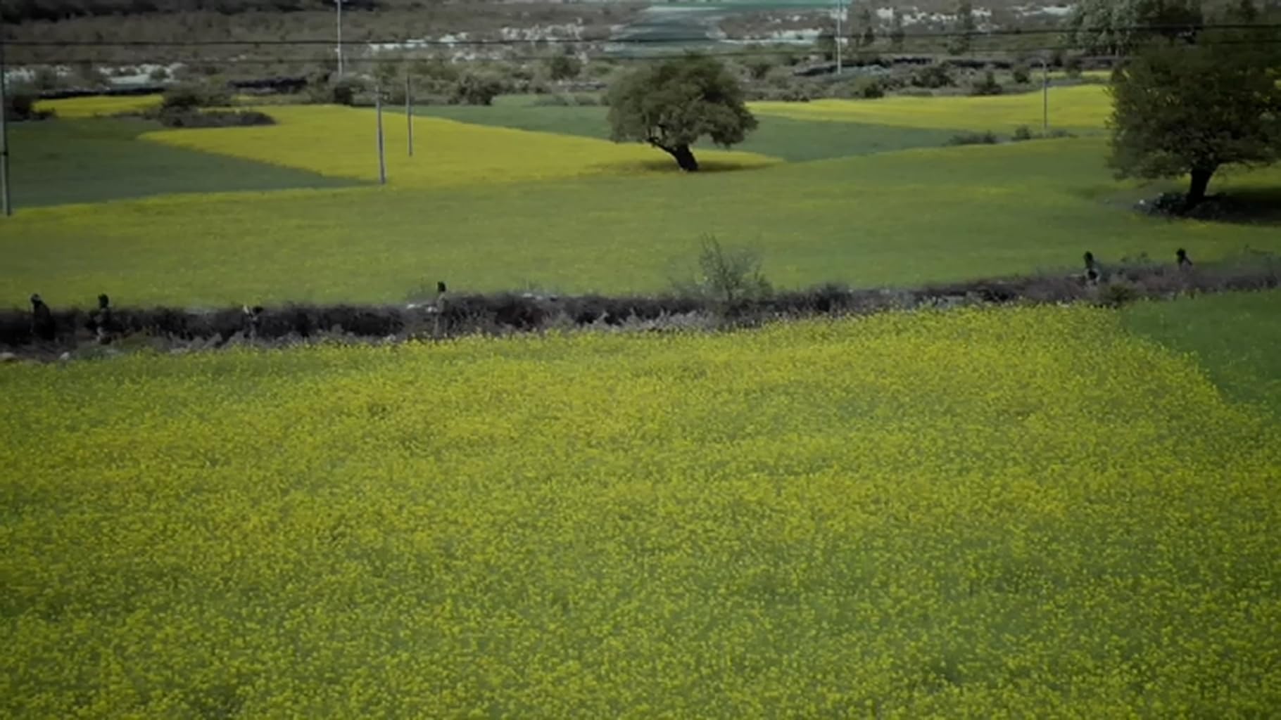 Фото - : 1820x1024 / 155 Кб