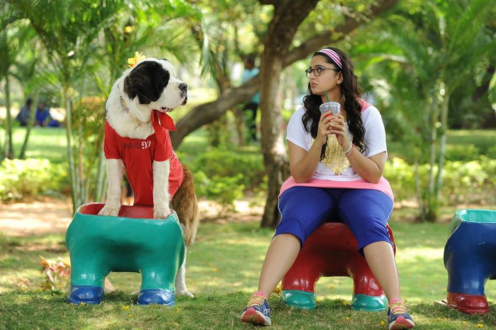 Фото - : 1000x665 / 123 Кб