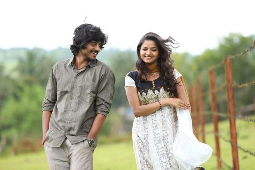 Фото - : 1000x666 / 66 Кб