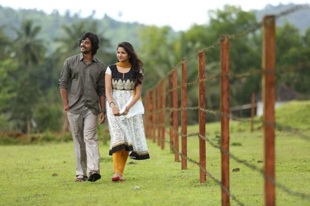 Фото - : 1000x666 / 78 Кб