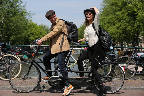 Фото - : 500x333 / 111 Кб