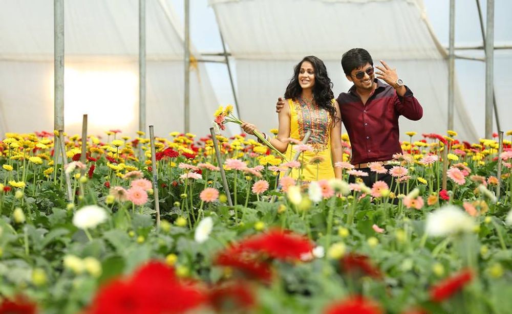 Фото - : 1000x614 / 100 Кб