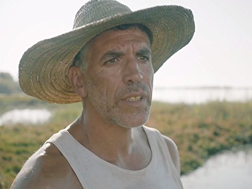 Фото - : 500x375 / 27 Кб