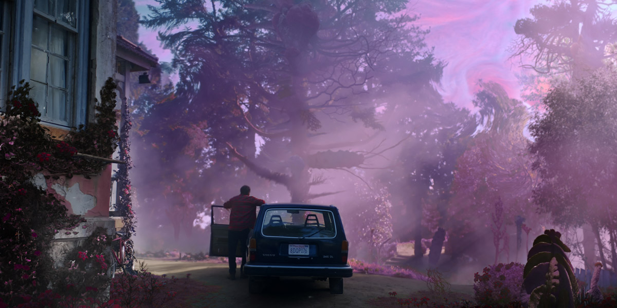 Фото - Цвет из иных миров: 1200x600 / 162 Кб