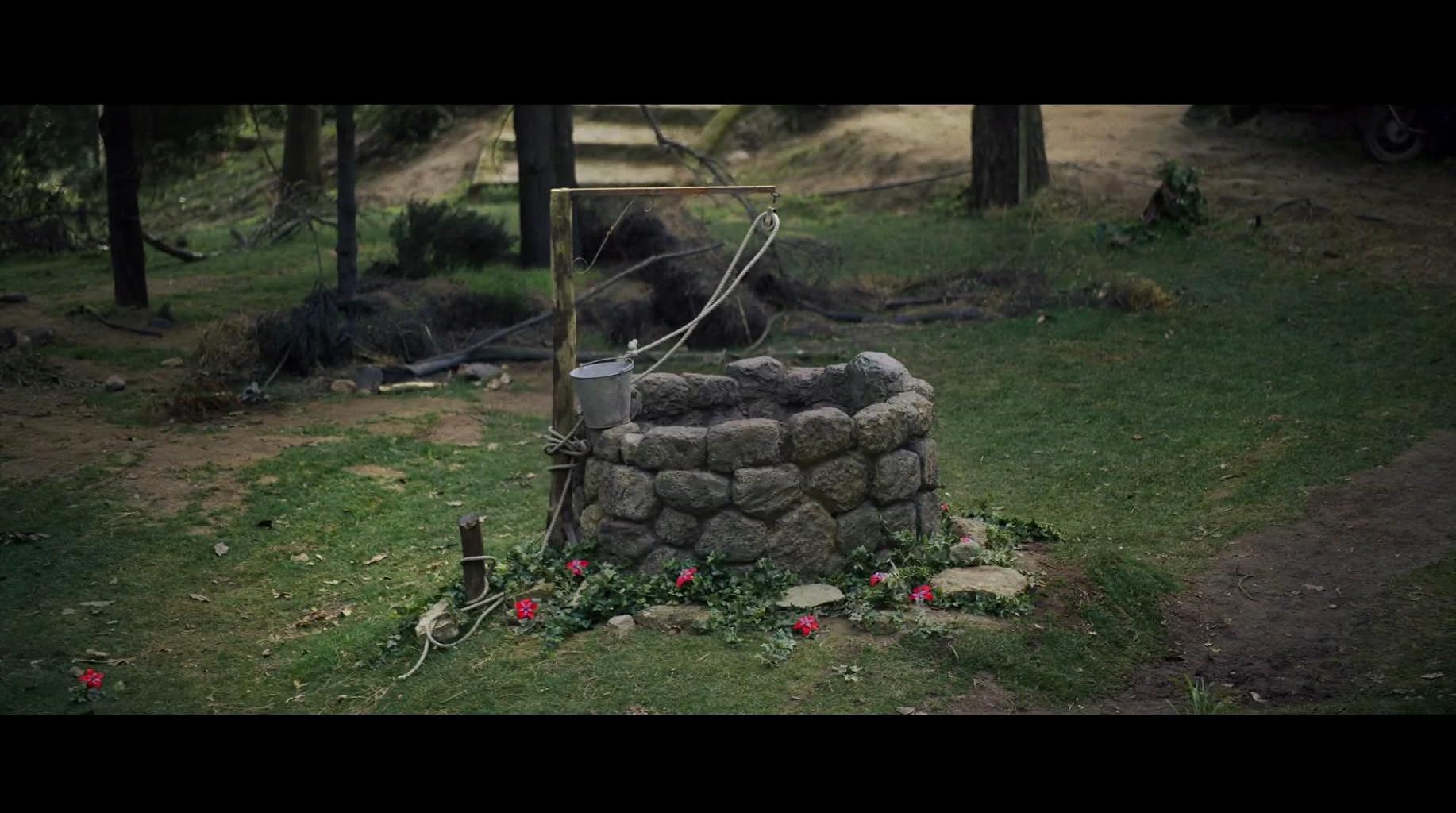 Фото - Цвет из иных миров: 1834x1024 / 164 Кб