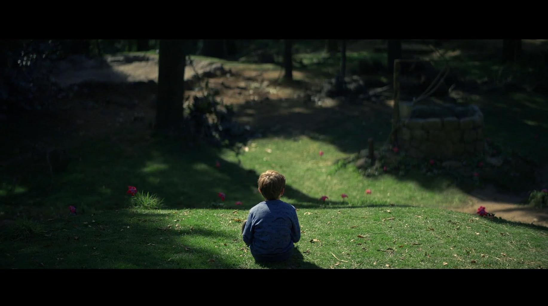 Фото - Цвет из иных миров: 1834x1024 / 114 Кб