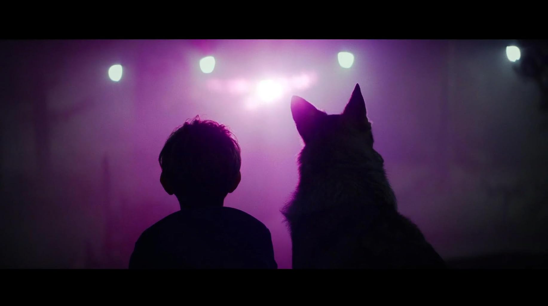 Фото - Цвет из иных миров: 1834x1024 / 48 Кб